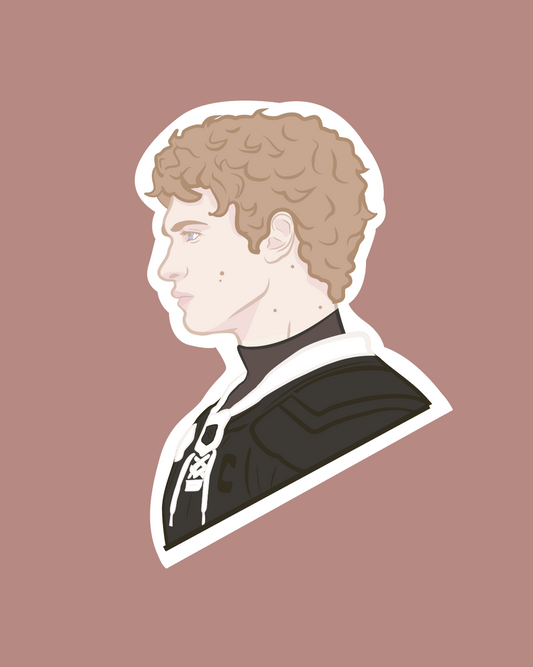 PRE ORDER - Shane & Ilya Stickers